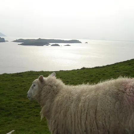 Carraig Liath House B&B 4*