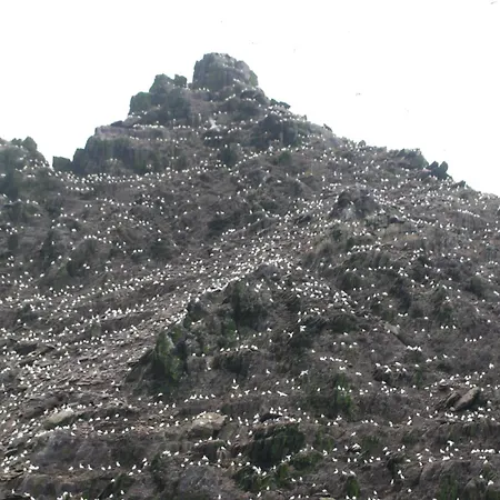 Nocleg ze śniadaniem Carraig Liath House Clynacartan