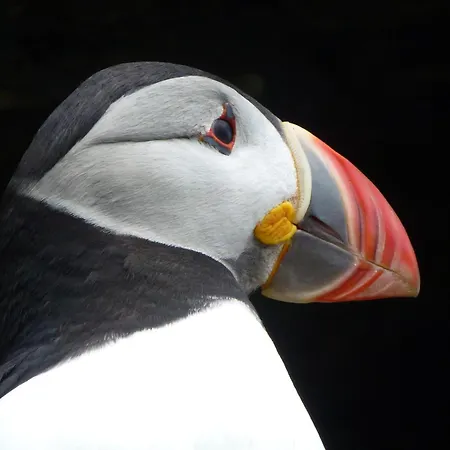 Carraig Liath House 4* Clynacartan