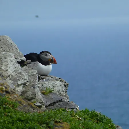 Carraig Liath House Clynacartan