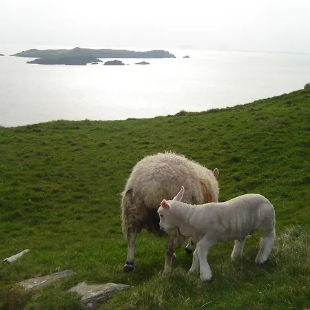 Carraig Liath House 4* Clynacartan