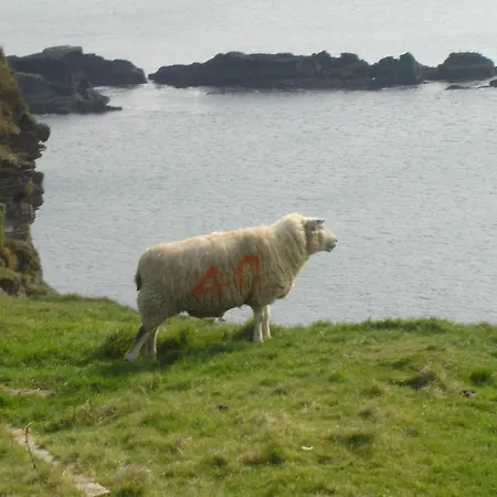 Carraig Liath House 4* Clynacartan