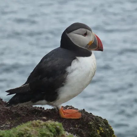 Carraig Liath House ベッド・アンド・ブレックファスト Clynacartan