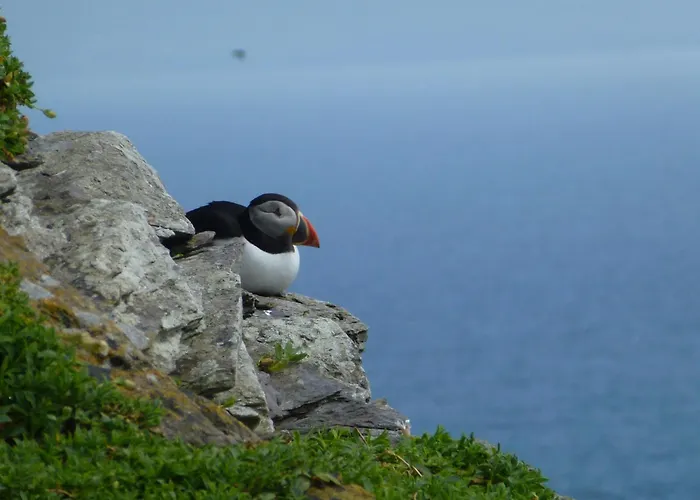 Carraig Liath House Clynacartan