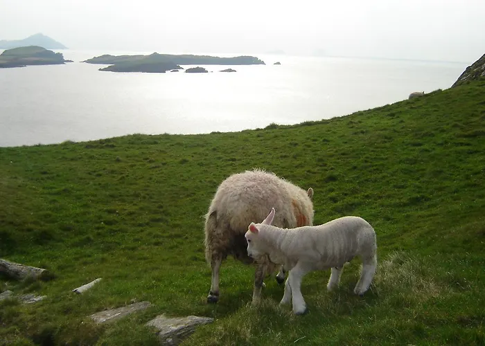 Carraig Liath House 4* Clynacartan