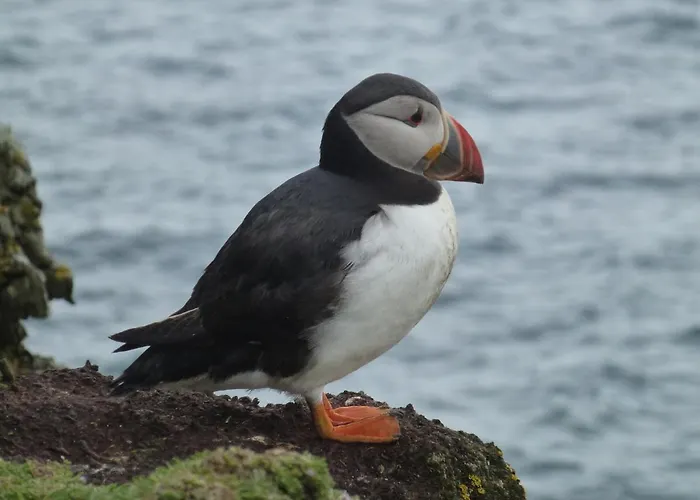 Carraig Liath House Alojamento de Acomodação e Pequeno-almoço Clynacartan
